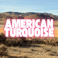 AMERICAN TURQUOISE THE COLOR OF THE SOUTHWEST